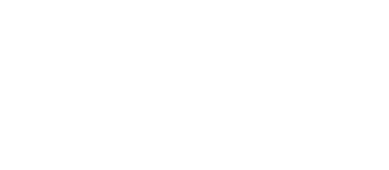 Logo Noordsche Fier